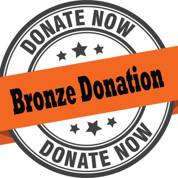 Youth Sports Donation Bronze Thumbnail
