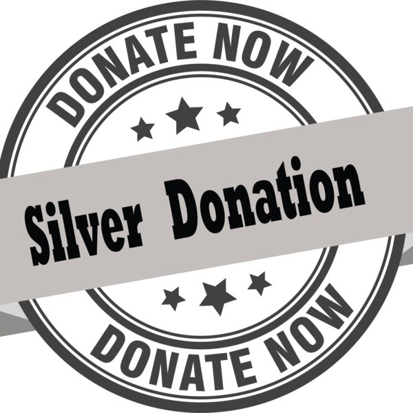 Youth Sports Donation - Silver Thumbnail